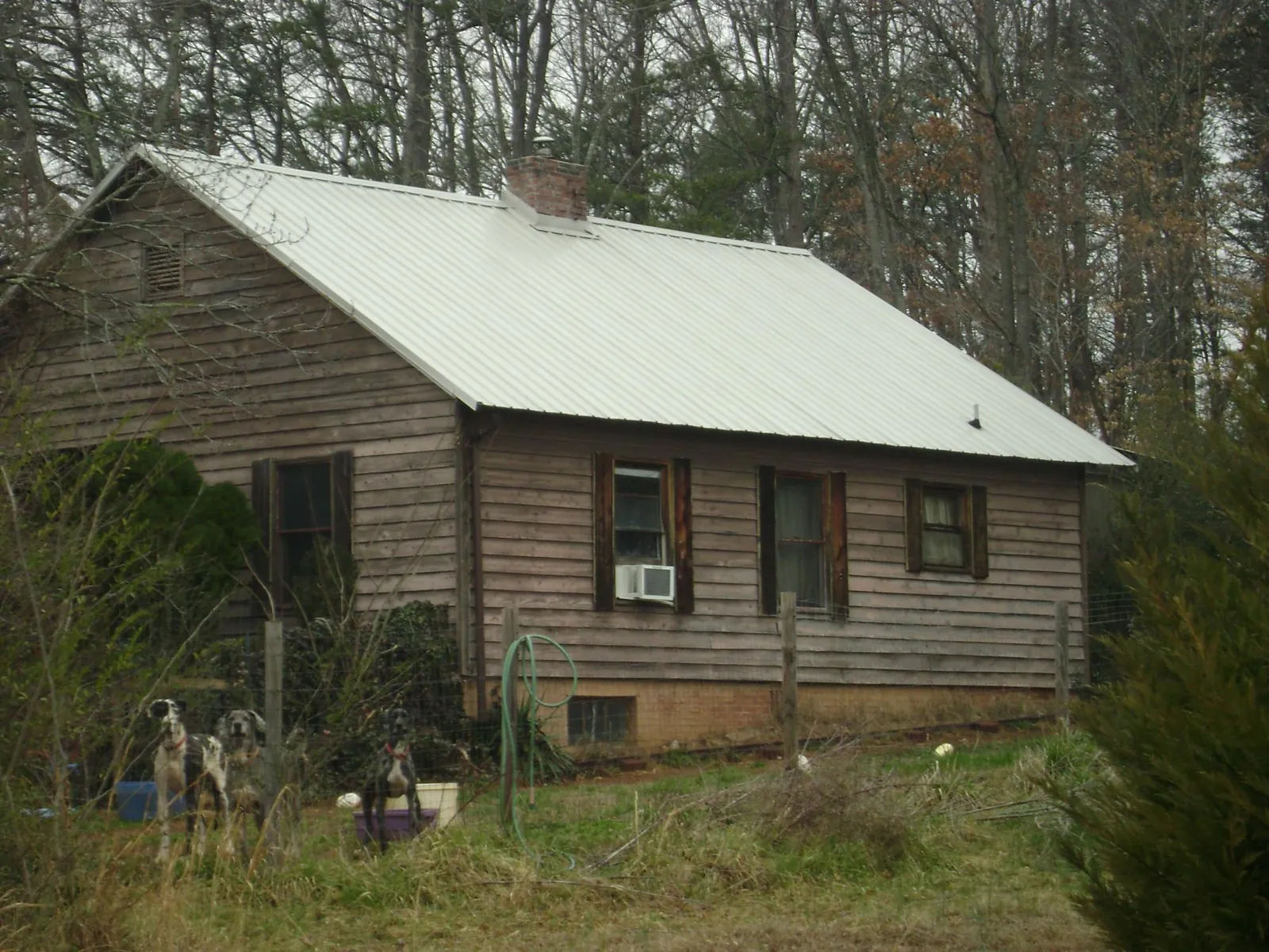 White metal roof on an old wood sided farmhouse, from a Metal Roof Installation job in Deal Island